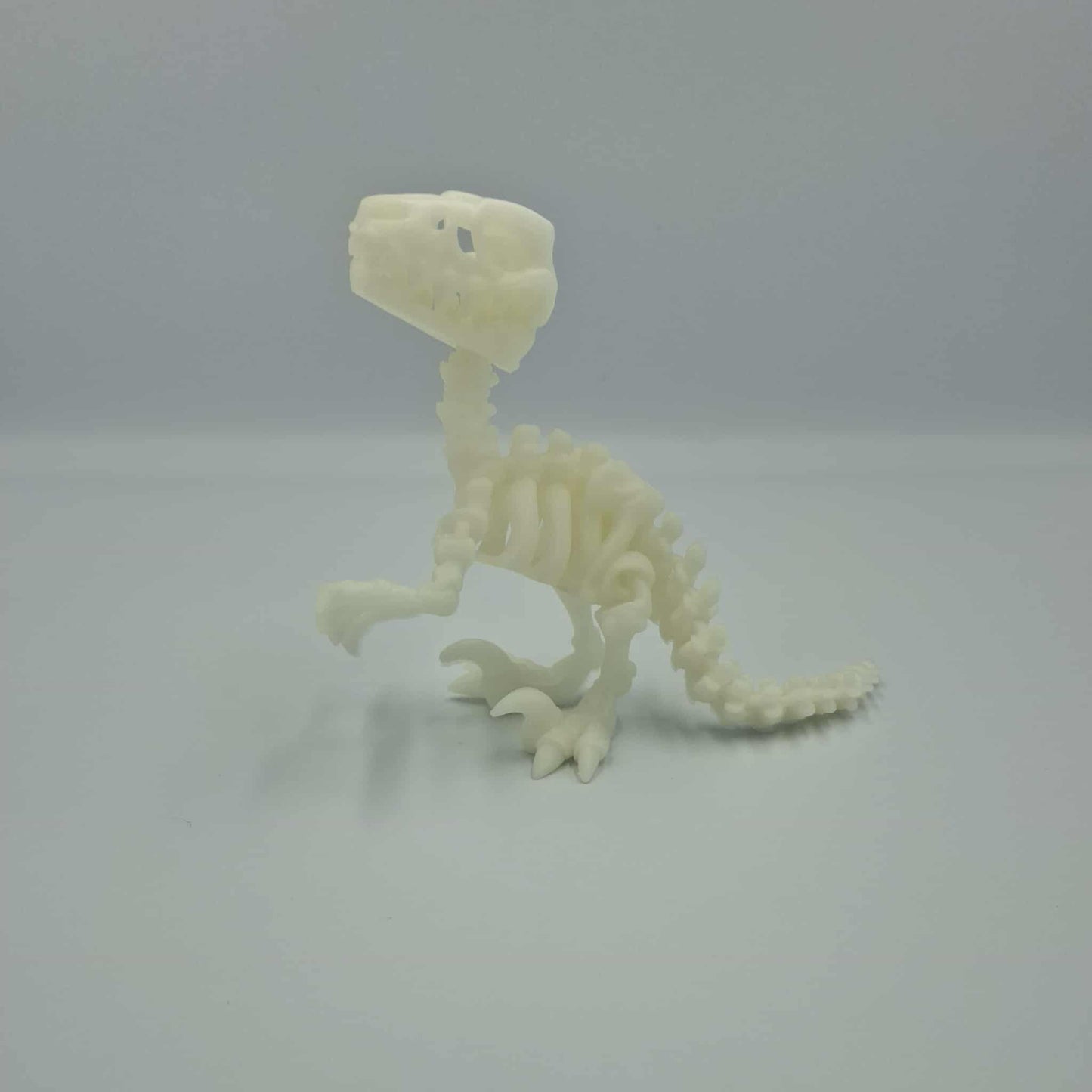 Raptor dinosaur