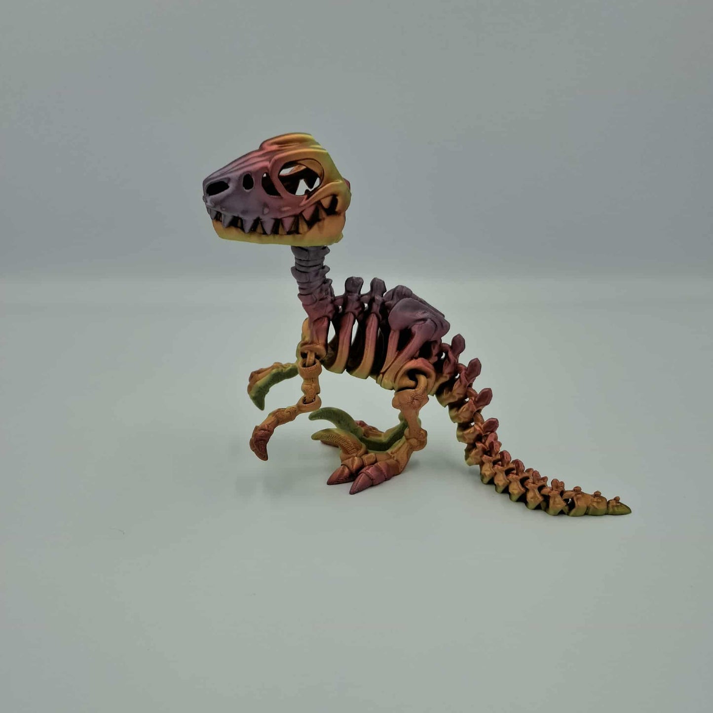 Raptor dinosaur