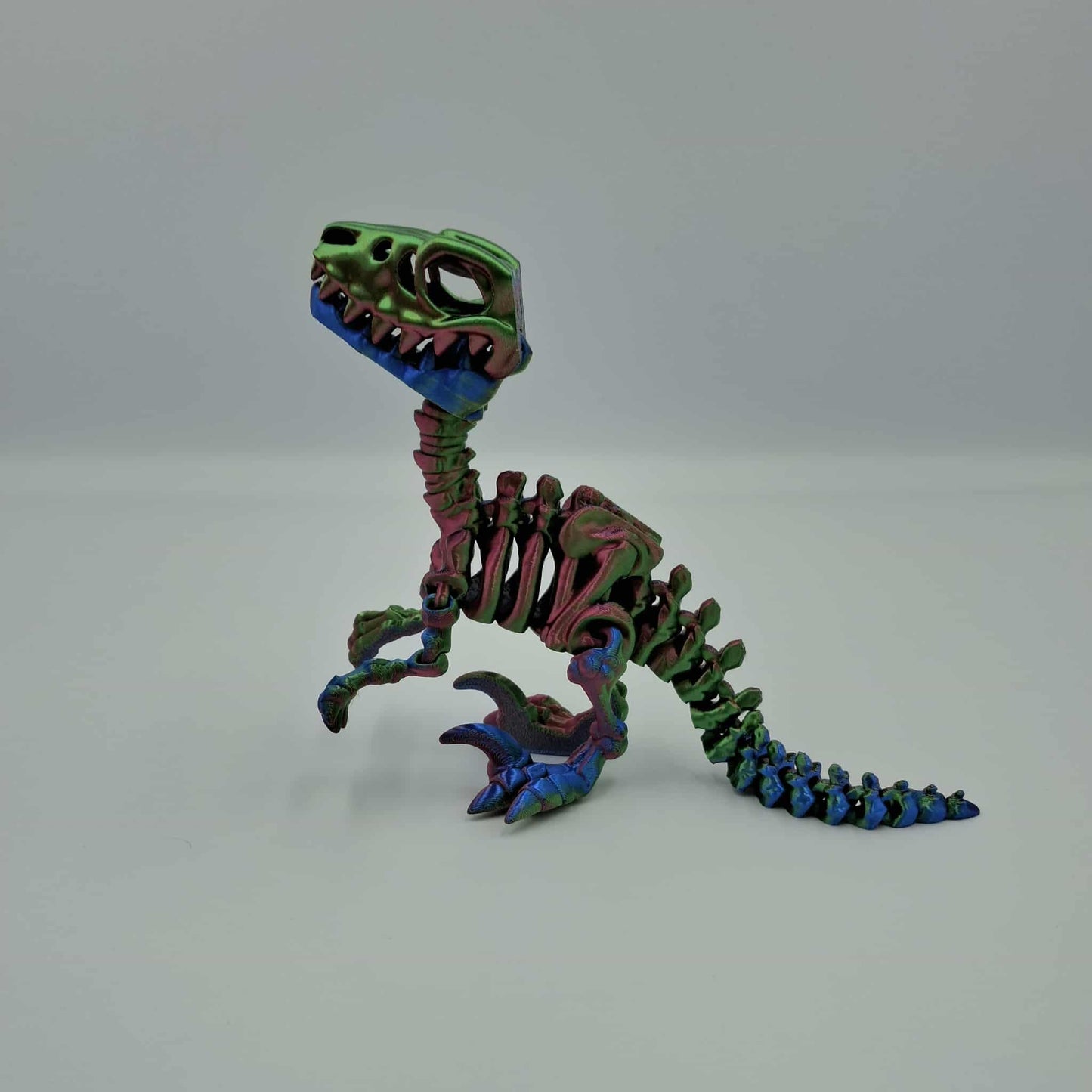 Raptor dinosaur
