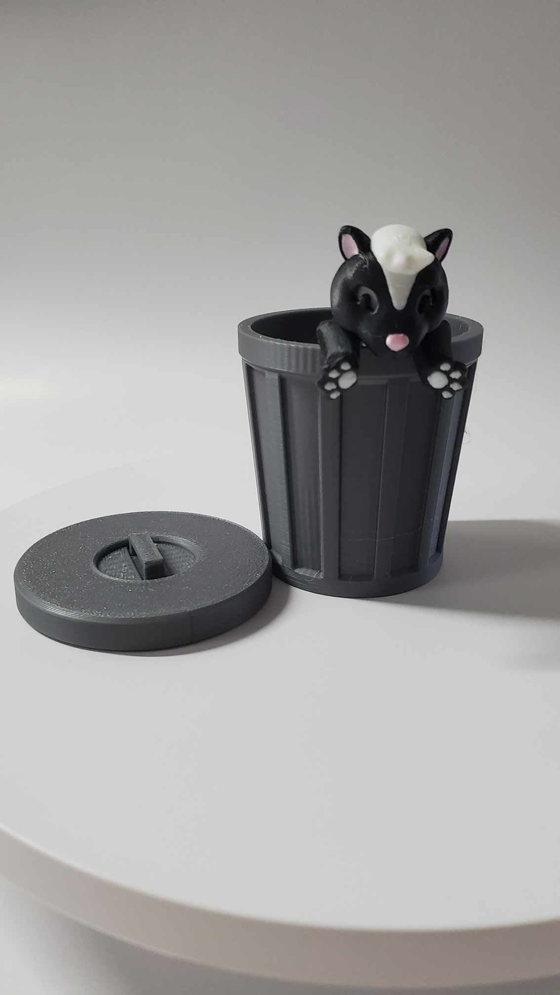 Skunk with trash can