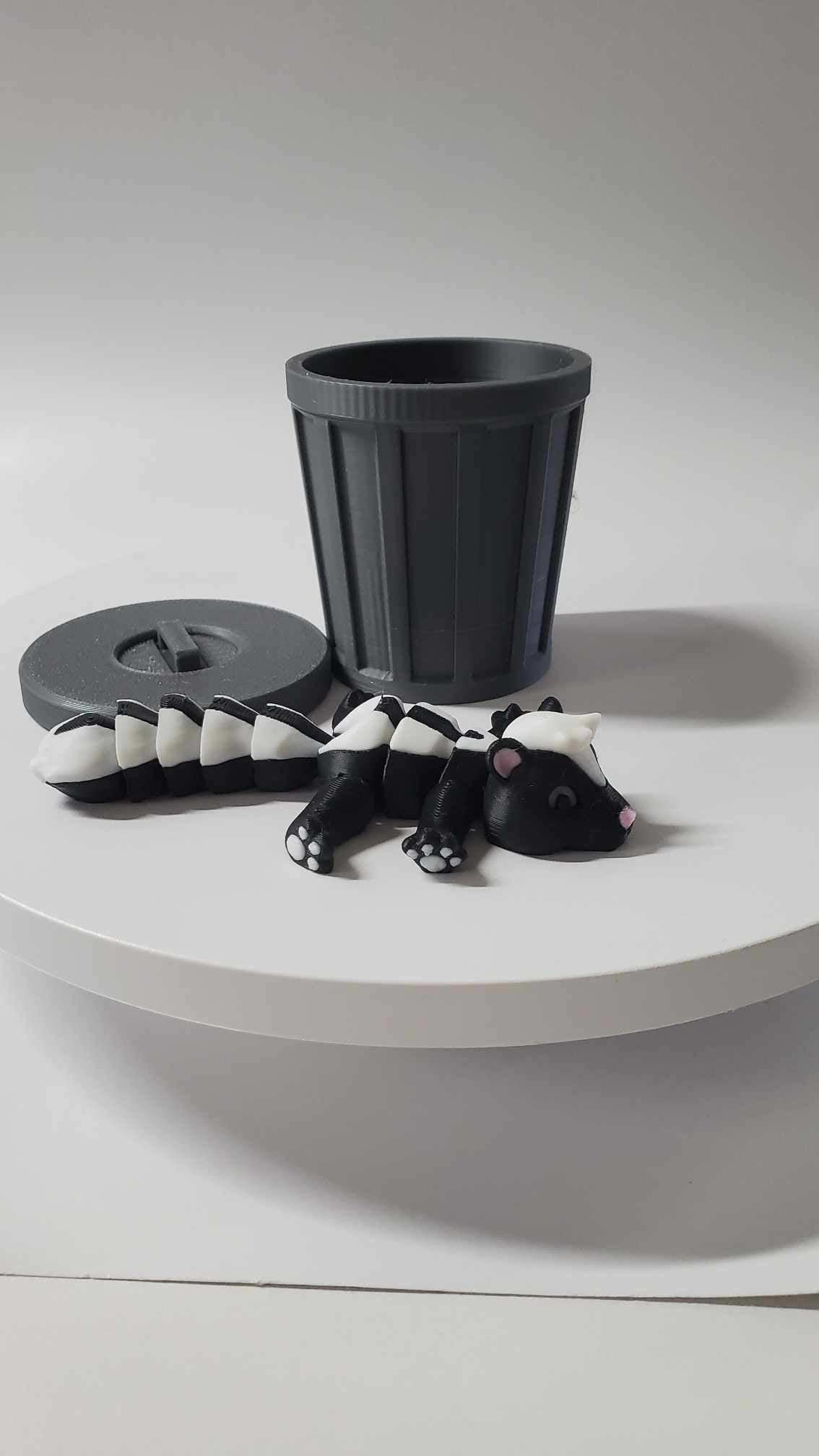 Skunk with trash can