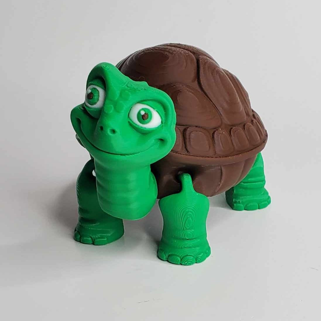 Tortise