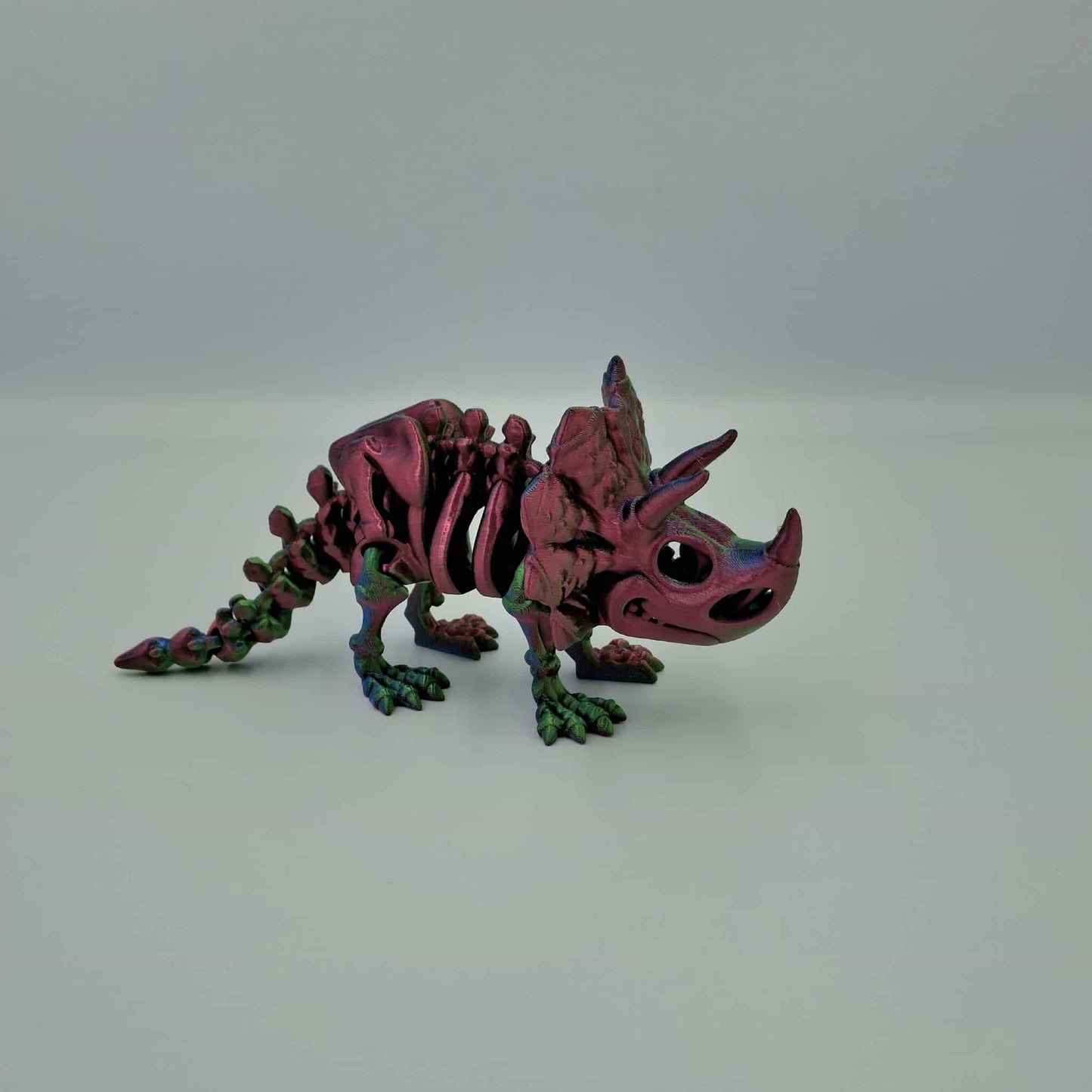 Triceratops dinosaur