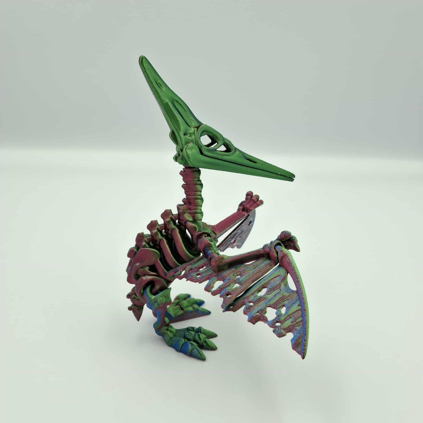 Pteranodon dinosaur