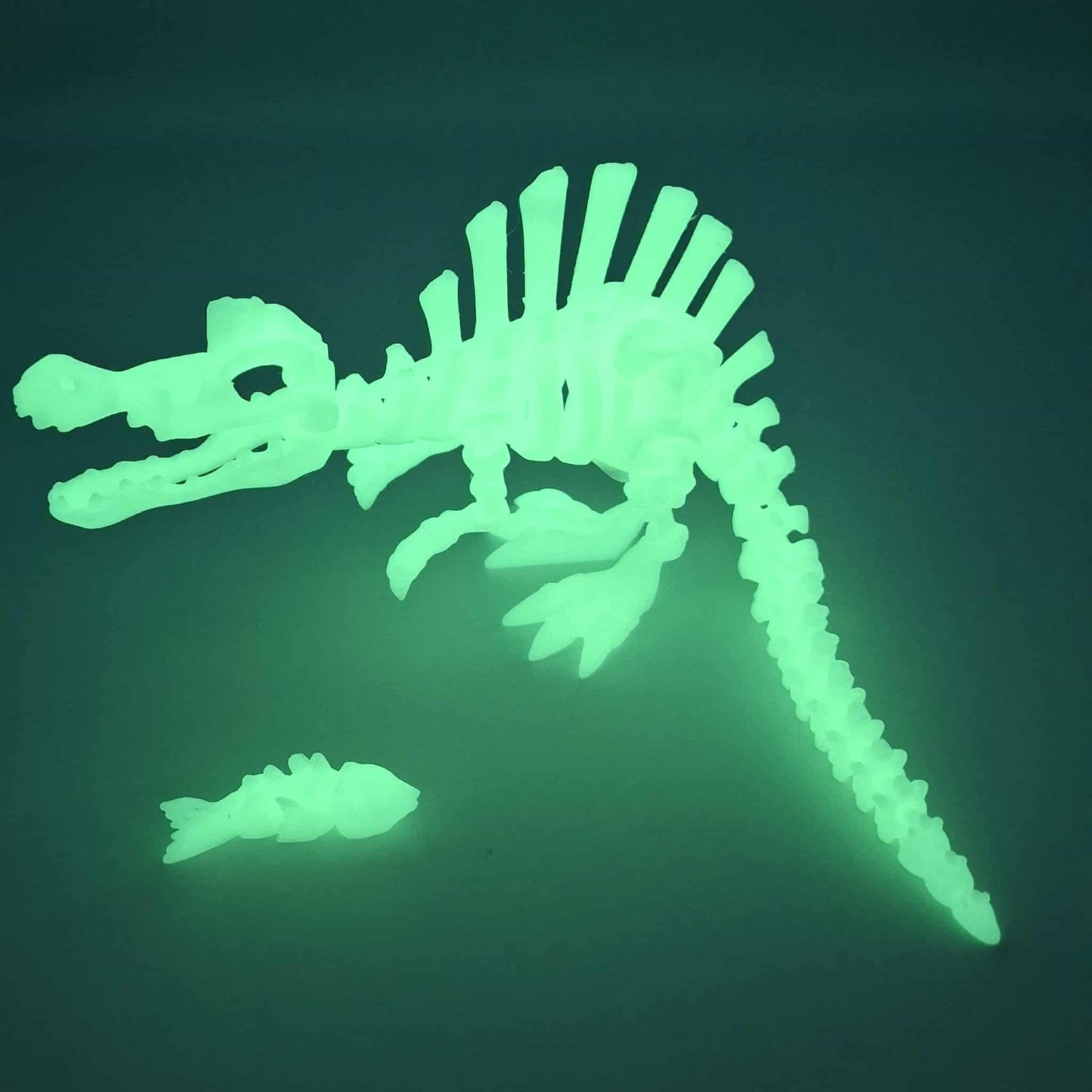 Spinosaurus dinosaur