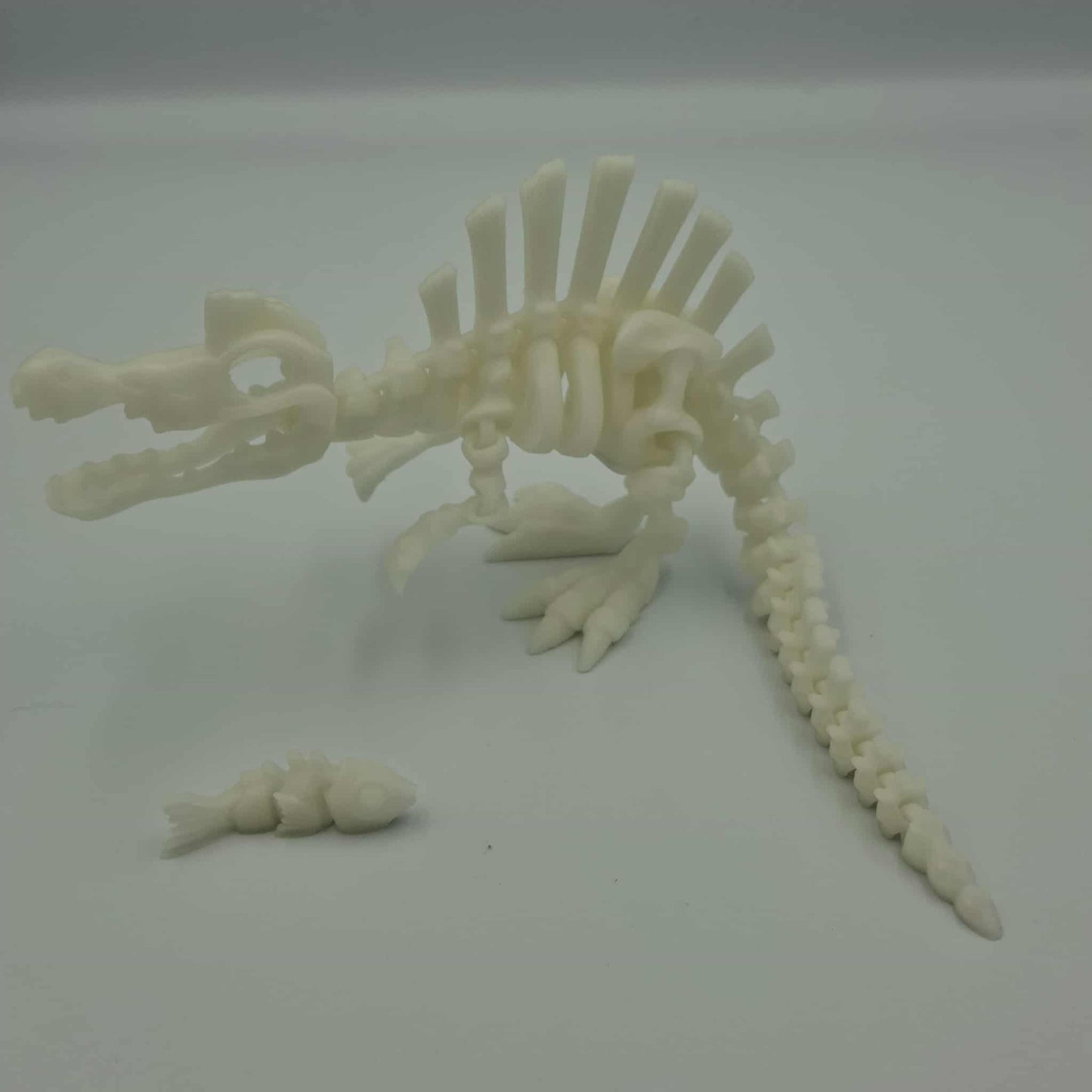 Spinosaurus dinosaur