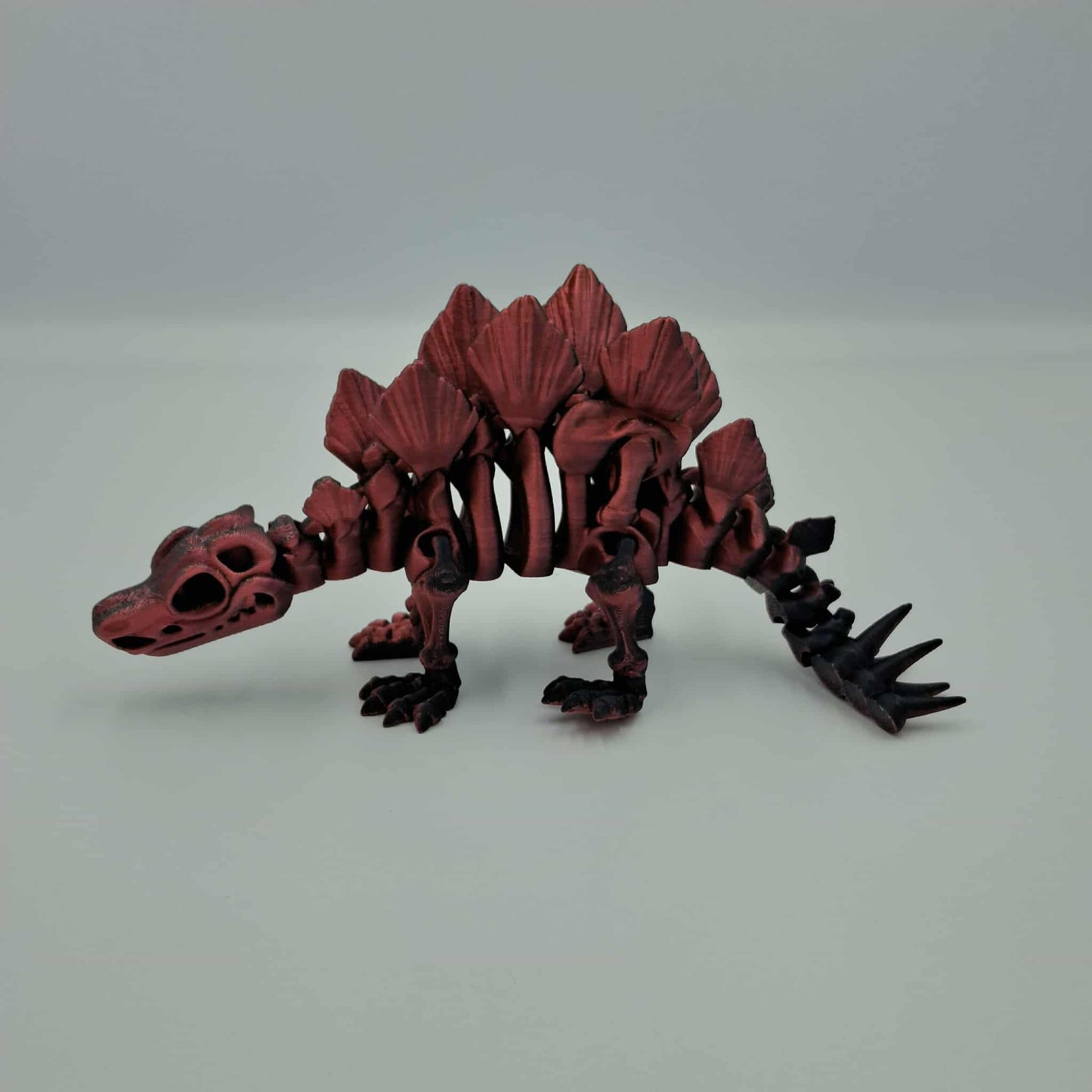 Stegosaurus dinosaur