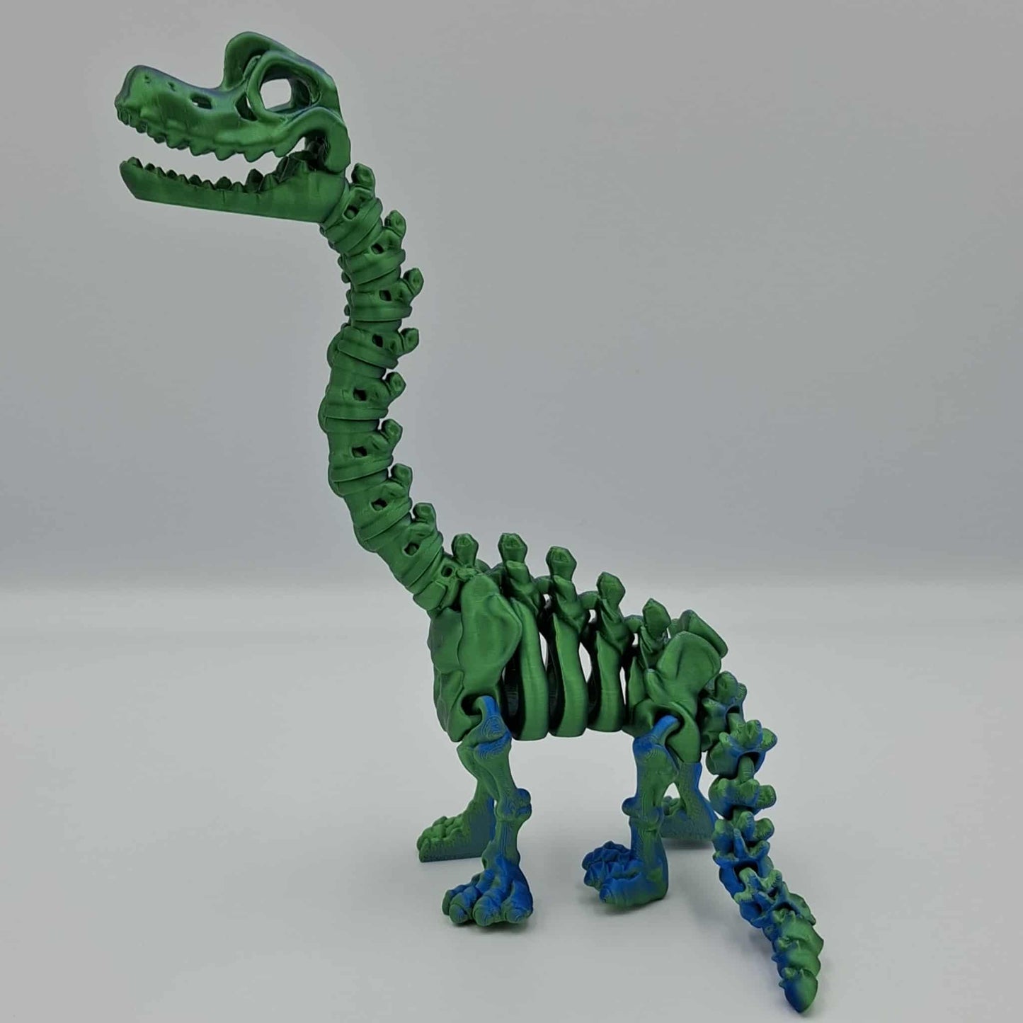Brachiosaurus dinosaur