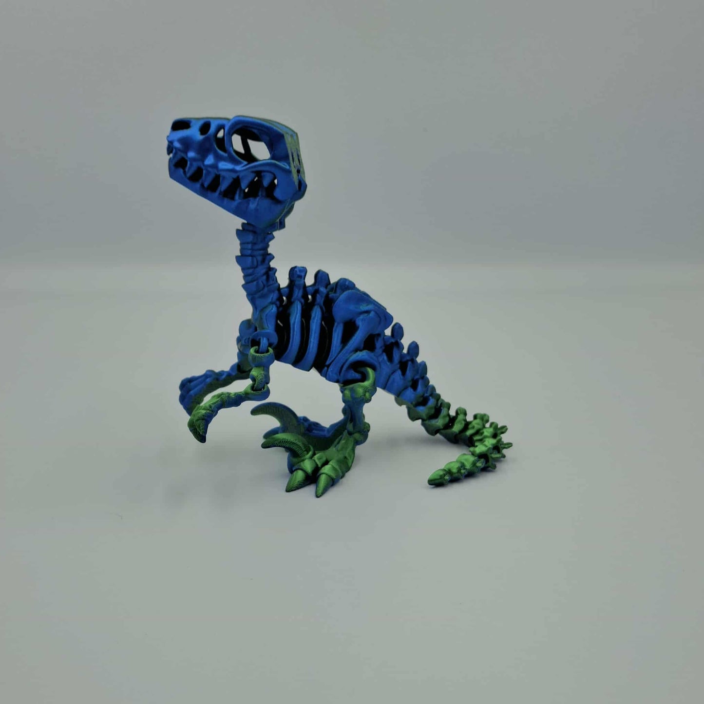 Raptor dinosaur