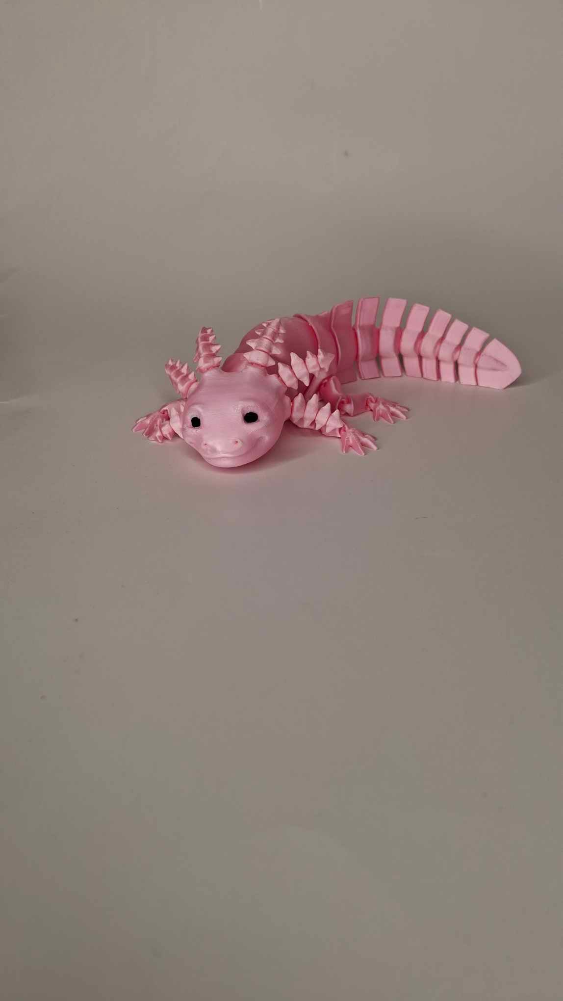 Axolotl