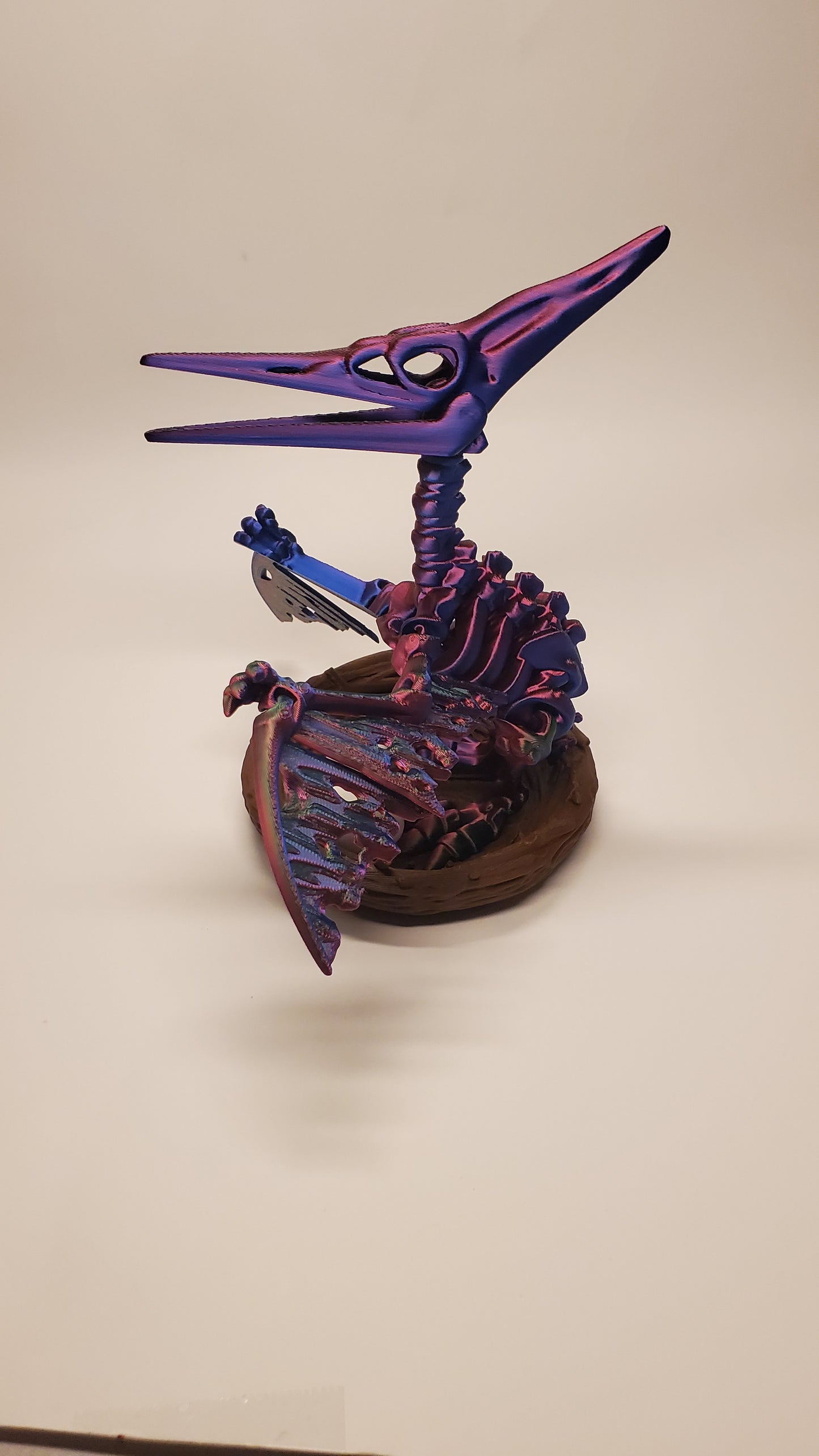 Pteranodon dinosaur