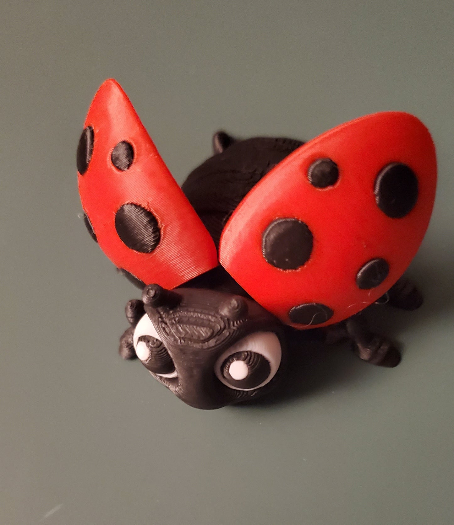 Flexi ladybug