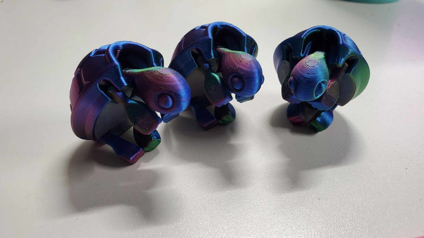 Turtles