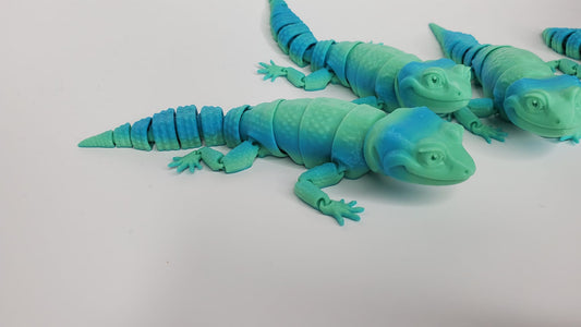 Geckos