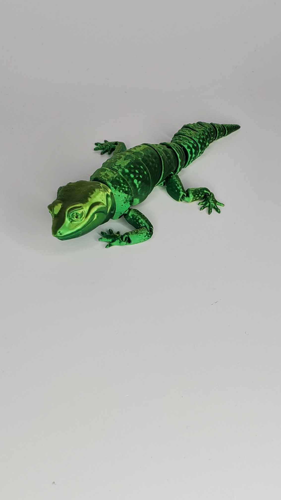 Geckos