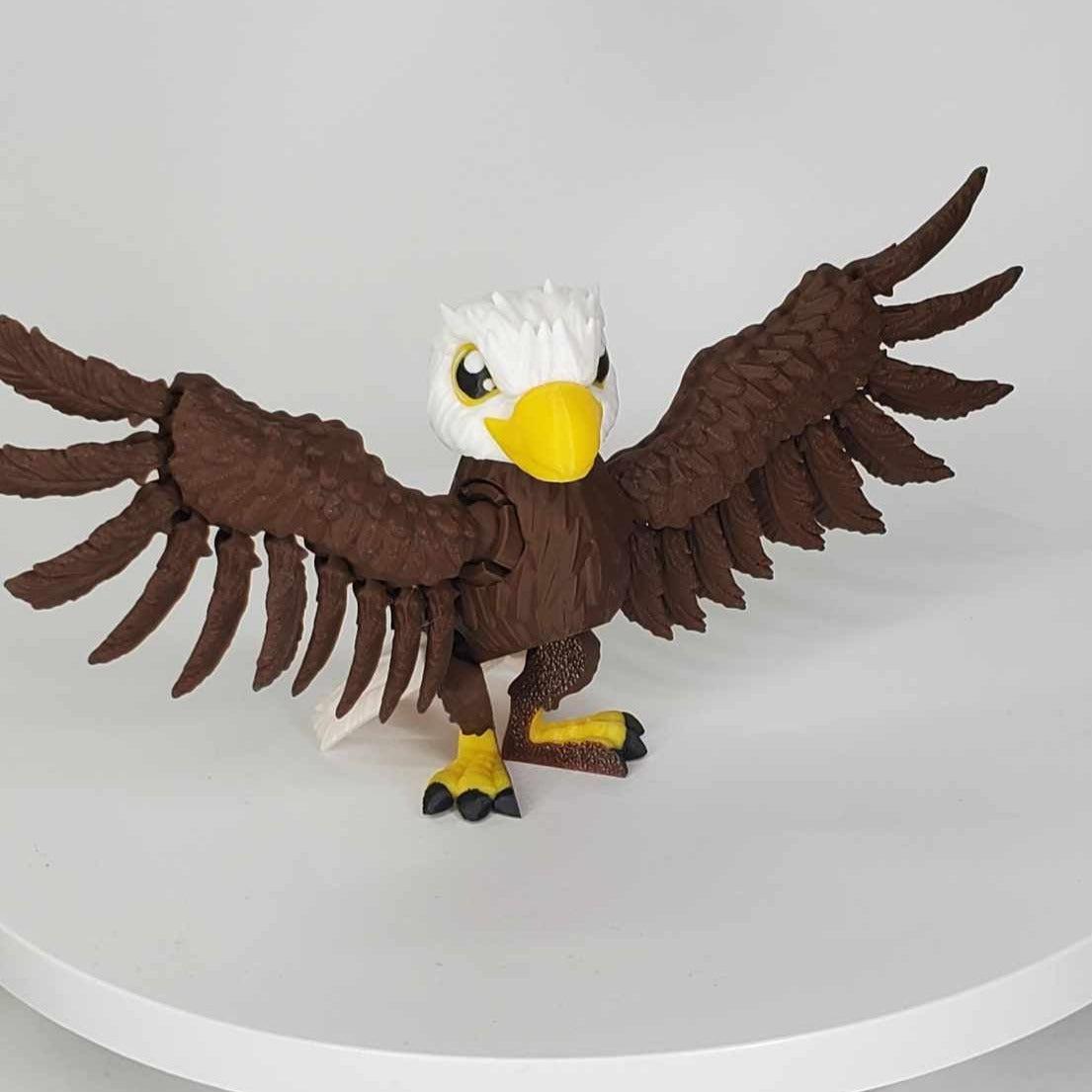 American bald eagle