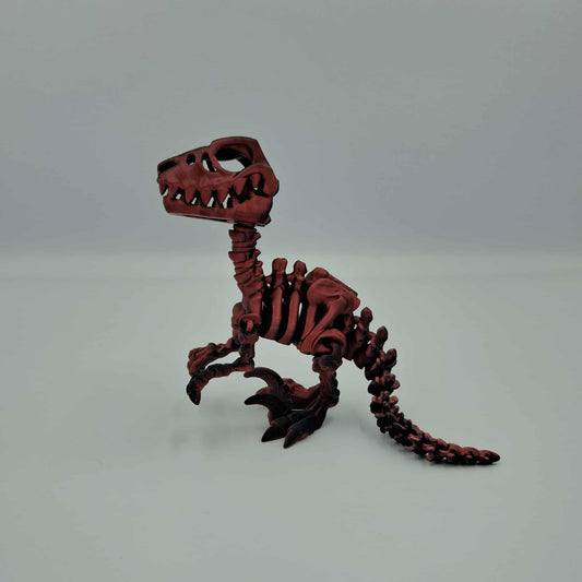 Raptor dinosaur