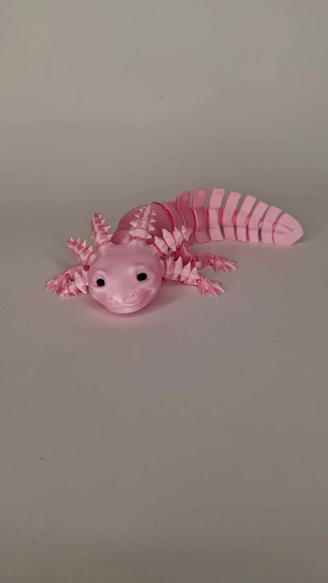 Axolotl