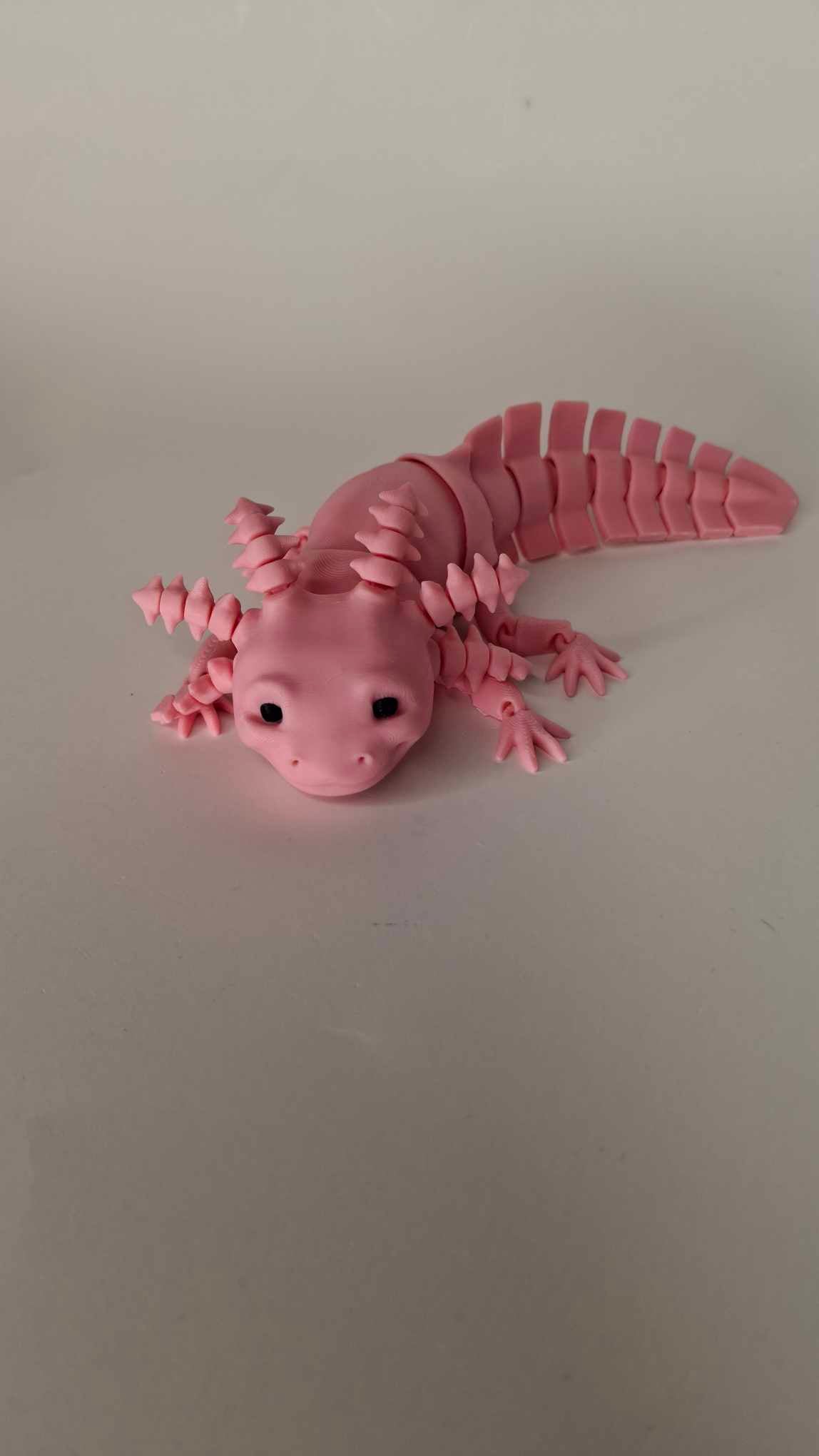 Axolotl