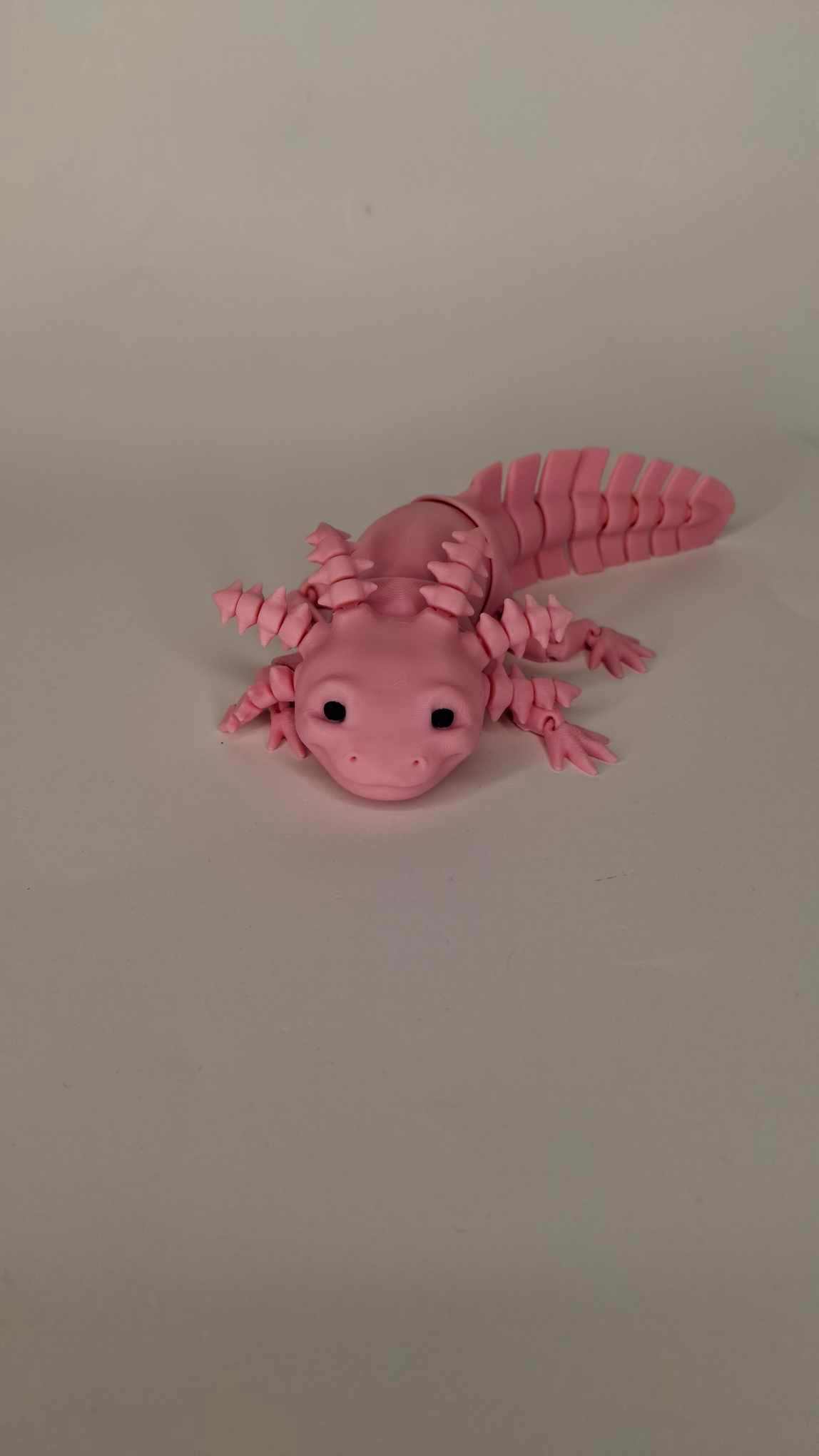 Axolotl