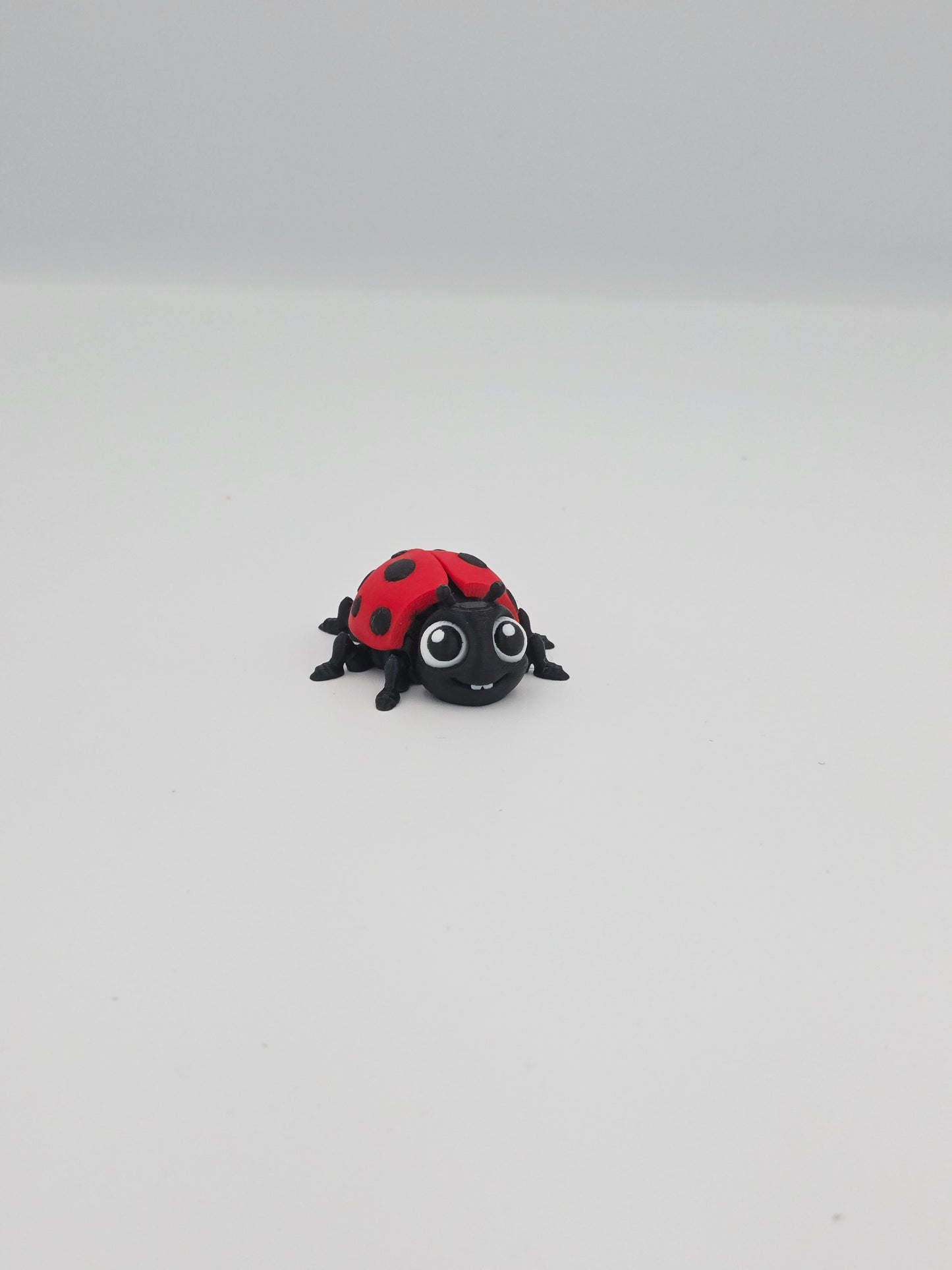 Ladybug