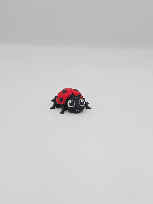 Ladybug