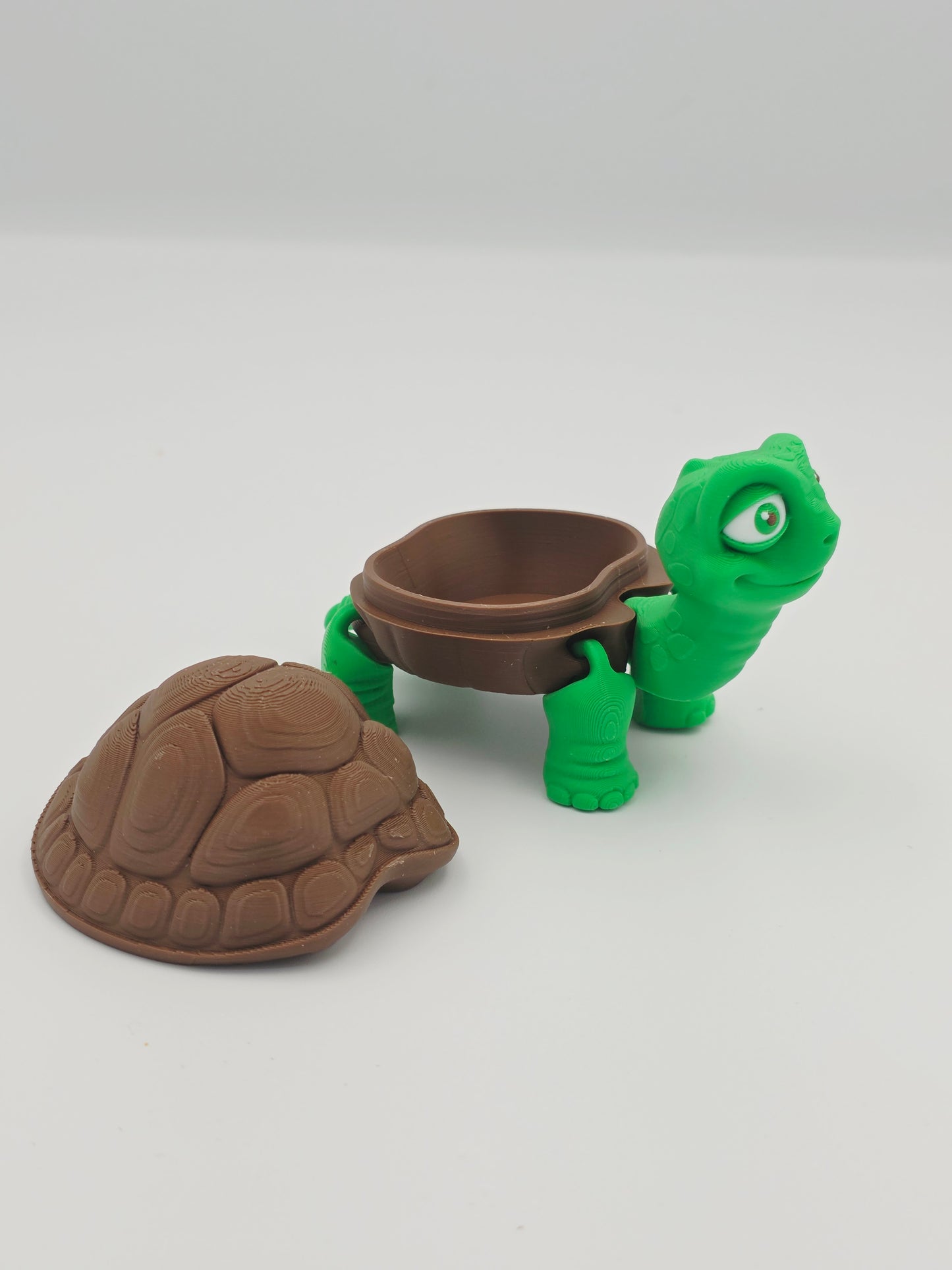 Tortise