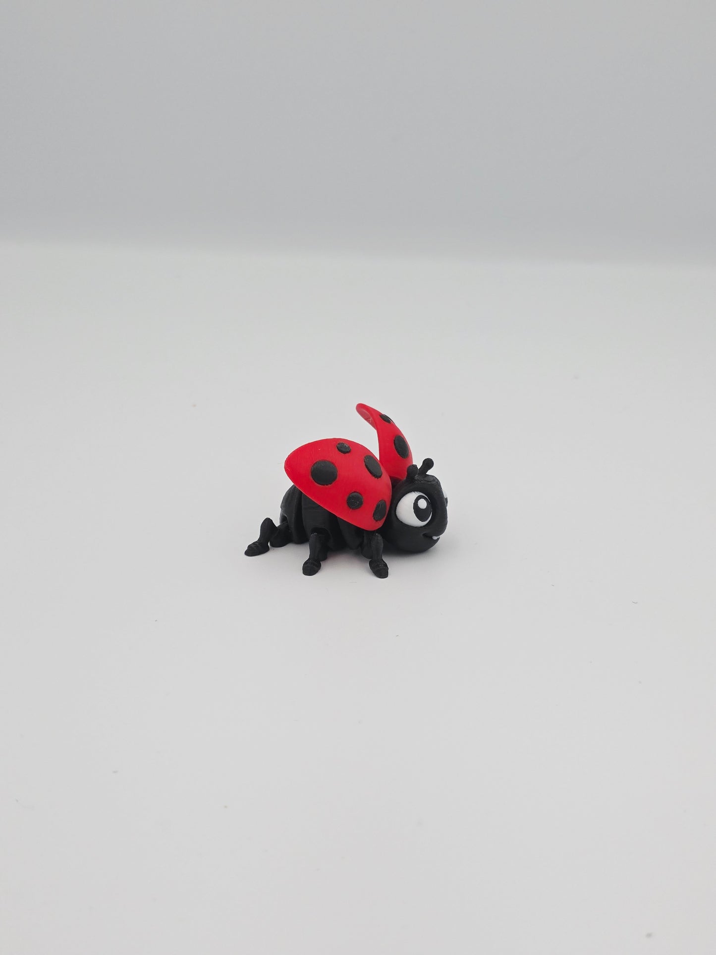 Ladybug