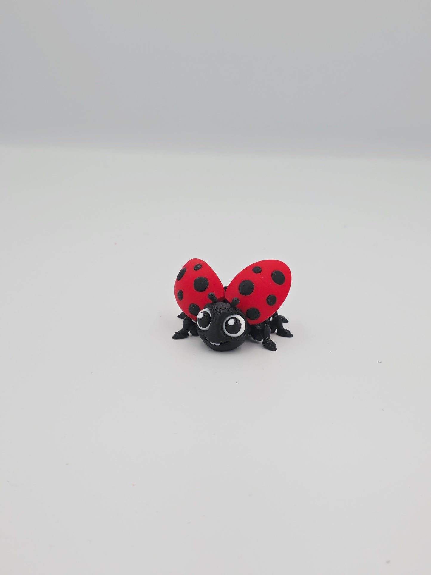 Ladybug