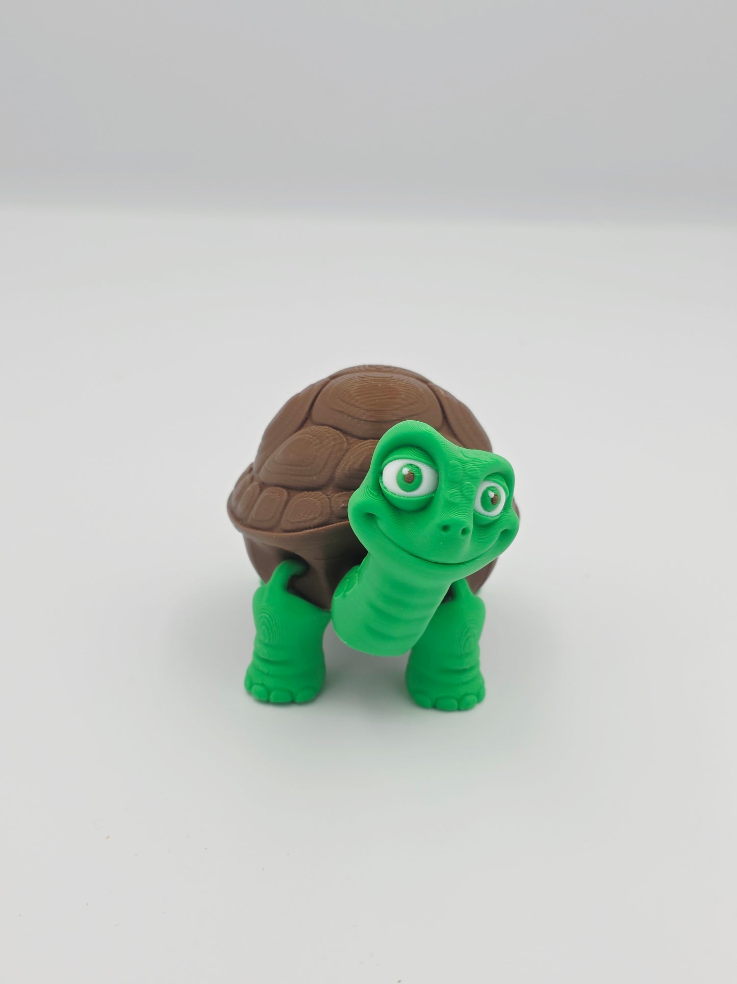 Tortise