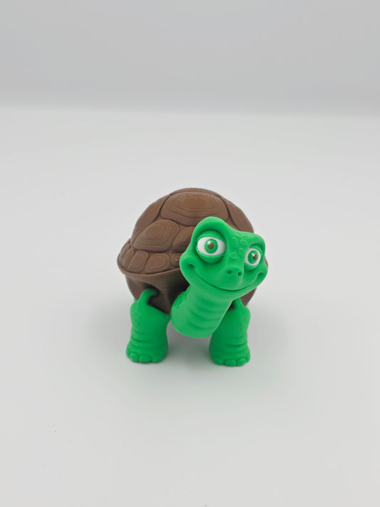 Tortise