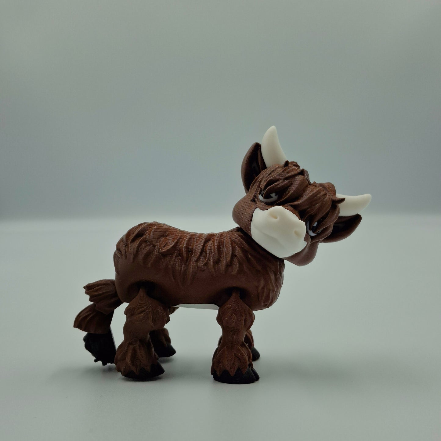 Highland cow