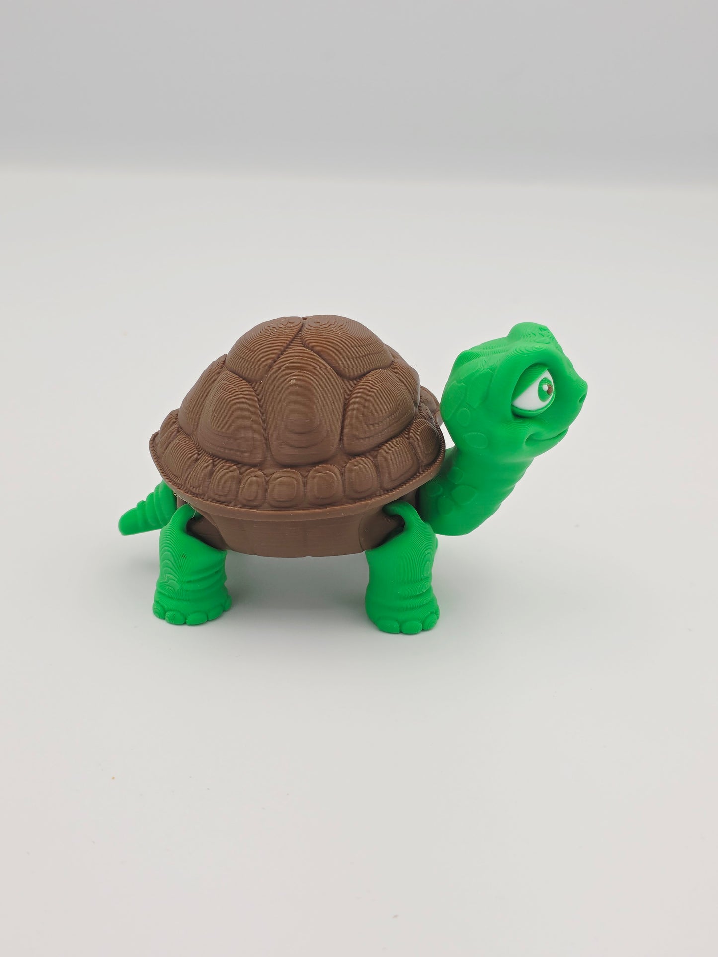Tortise