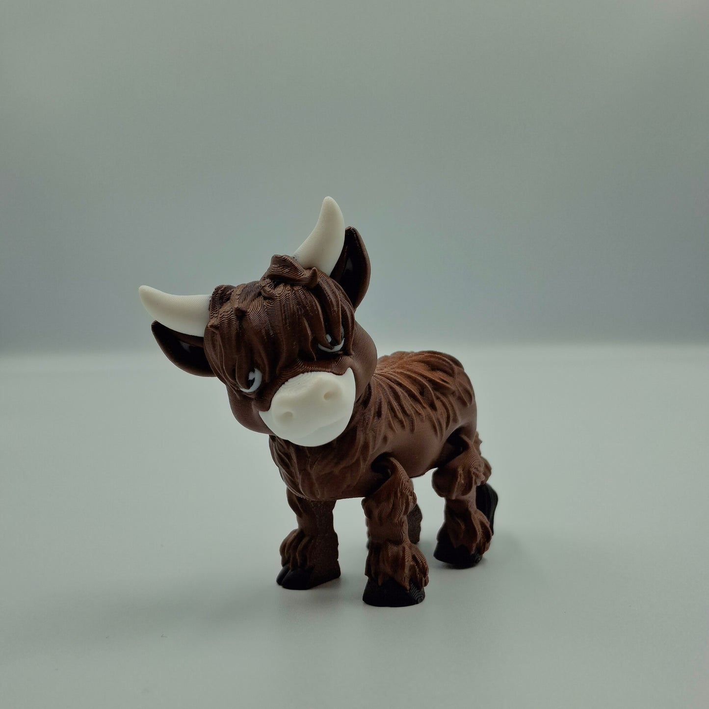 Highland cow