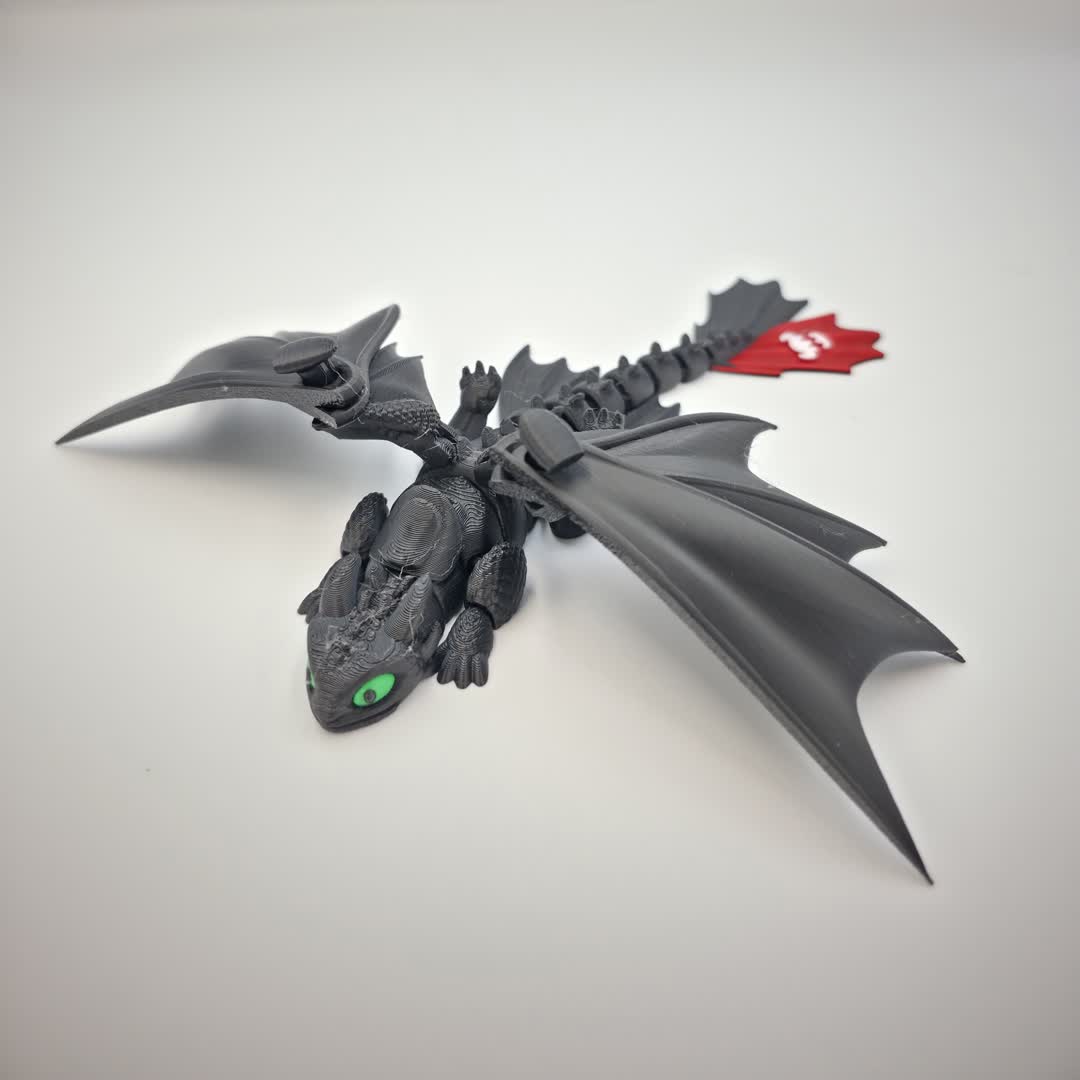Toothless/Light Fury