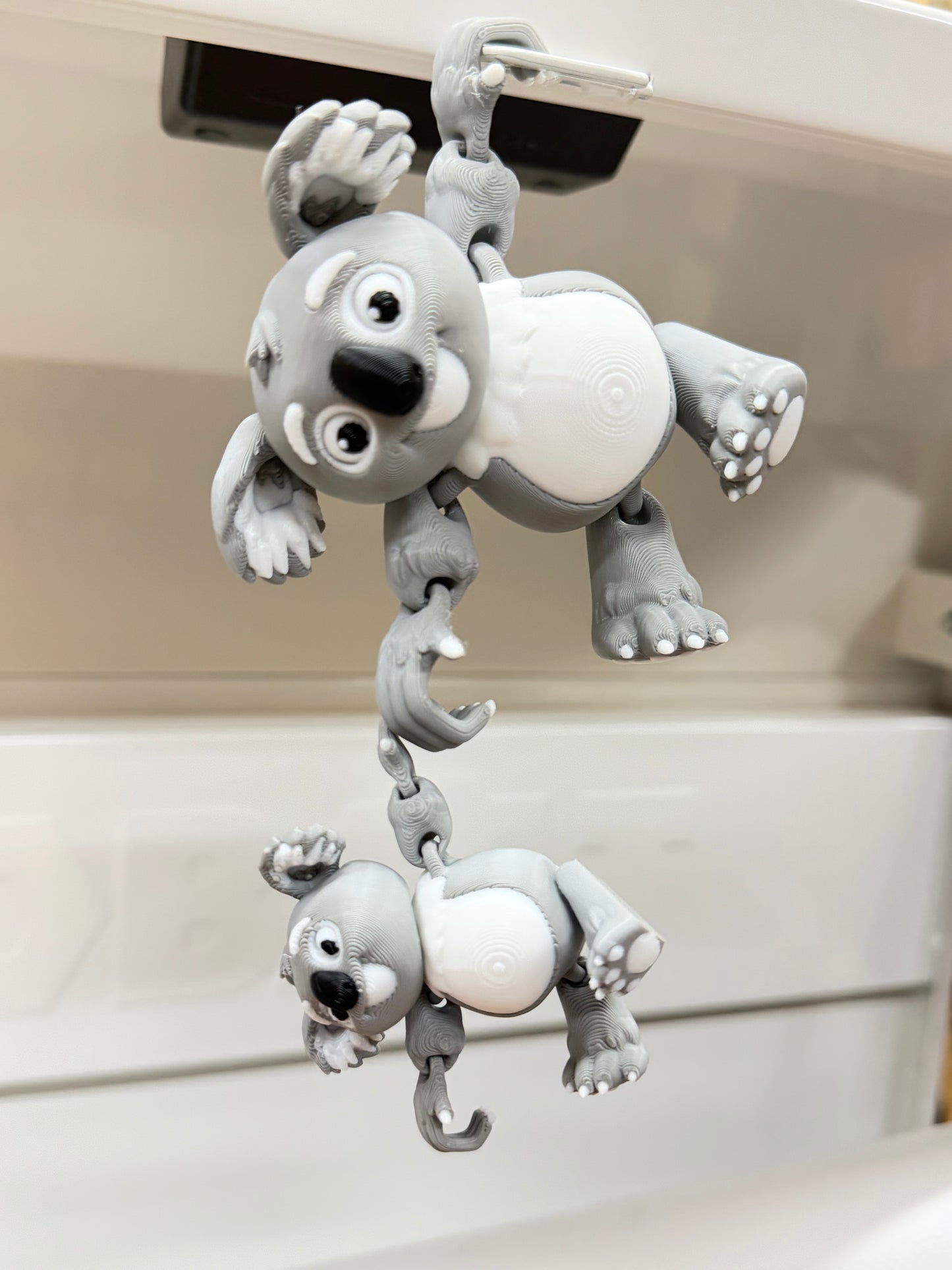 Koala and baby